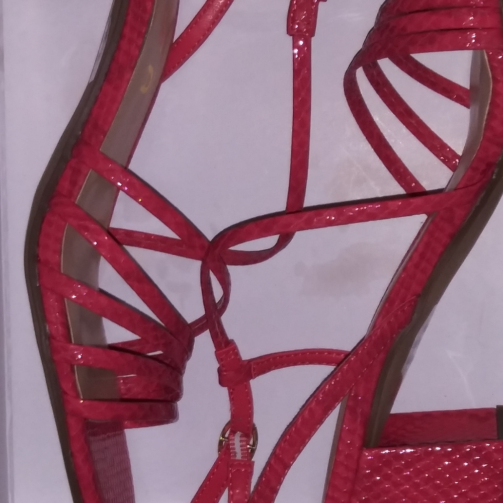 Heel - Picture 3 of 3